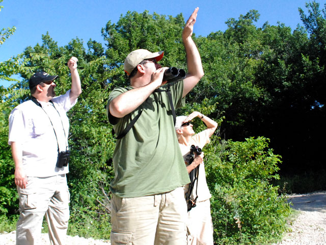 The team stands on the dirt road that crosses the southern county line, trying to shield the sun enough to identify a bird fling overhead.