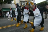 Bay to Breakers Losing its Edge
