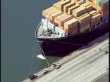 Raw Video: Cargo Ship Strikes Whale