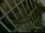 Budget Woes Could Lead to Prisoner Release