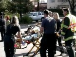 Driver Crashes Into Girl Scouts Selling Cookies