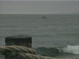 Great White Spotted in Pacifica