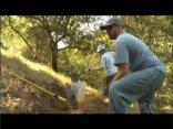 Moore Creek News Segment
