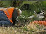 Sabotage in South Bay Forces Cell Phone Outage