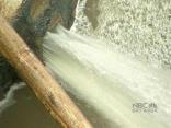 Sausalito Sewage Spill Pollutes Bay