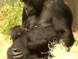 Baby Hasani Makes Public Debut