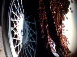 Raw Video: Bee Swarm Shows Love for Infiniti