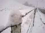 Snow in the Bay Area? You Betcha