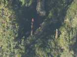 RAW VIDEO: Plane Crashes Near Emigrant Gap
