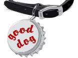 Holiday Gifts: To Fido, From Santa