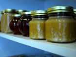 Urban Beekeeping Craze Hits the City
