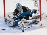 Equipping the Sharks