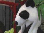 Origins of the Panda Hat