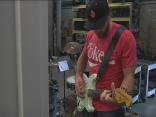 Sharks Jamming on Day Off