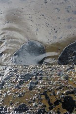 Fuel Oil Spill in the Mississippi River