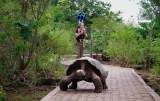 Google Takes You to the Galapagos Islands