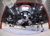 Sharks on the Brink