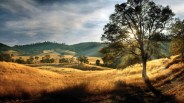 Golf in Gold Country