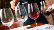 Alexander Valley Wines