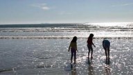 Just in Time for Summer: Beach Report Card