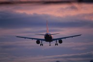 Birds Shot Daily by Bay Area Airport Workers