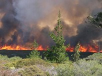 Wildfire Forces Evacuations at Vandenberg Air Force