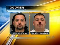 Two Dogs Seriously Maul Woman
