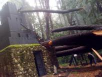 Santa Cruz Mountain Castle Damaged in Storm