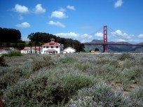 Presidio Winery Plan Gets Corked