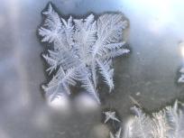 Brrrrrrace Yourself for a Chilly Day