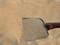 Freak Grain Accident Kills Teen