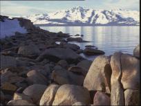 Congress Asked to Fight Tahoe Quagga and Mussels