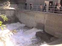 Let It Flow: Lexington Reservoir Gushes Again