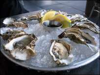 Oysters Deserve a Second Taste