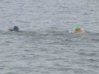 Jellyfish, Cold Foil Monterey Bay Swim Attempt