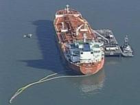 Bay Oil Spill Takes First Victims