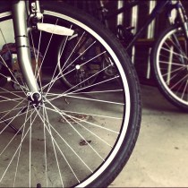 Bicyclist Acquitted in Hit and Run Case