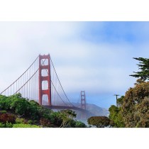 SF To Grow By 100,000 People In 30 Years