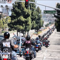 Bikers Beat Prius Driver Following Collision