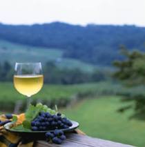Record Year for Wine Exports