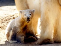 Climate Change Ramped Up in 2010