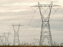 Solar Plant Scuttled to Protect Mojave