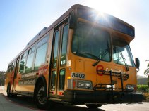 Gavin Newsom's SUV Big Enough to Best a Bus