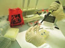PETA: UCSF Should Return Cash For Monkey Abuse