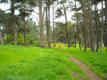 Crime Plagues Golden Gate Park