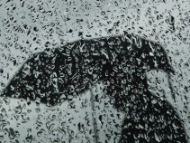 Bay Area Storm Door Opens Tonight