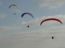Men Fire Pellets at Paragliders: Cops