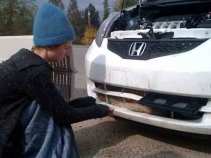 Coyote Gets Caught in Car Grill for Hours