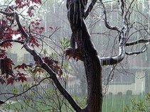 Heavy Downpour Shocks Bay Area