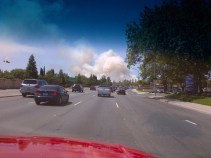 Brush Fire Quickly Knocked Down in San Jose